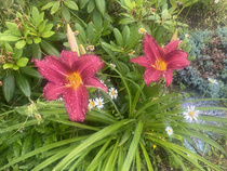 Martanpäivän tunnelmia 2022